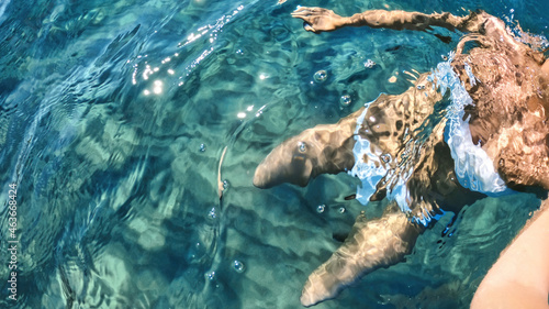 Woman swimming under the water, Mediterranean sea