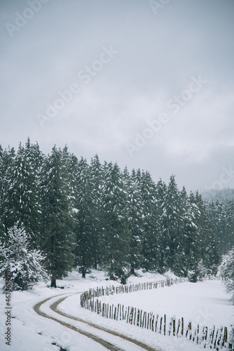 un camino con una valla de madera entre arboles nevados en un monte del pais vasco en invierno