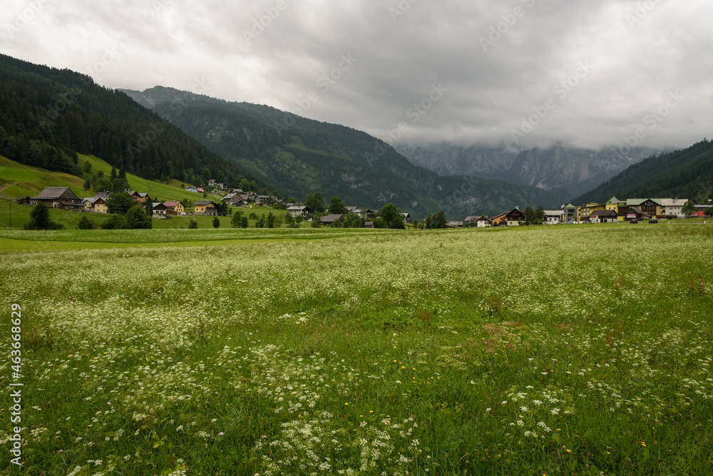 Alpine green landscape in summer on a cloudy day, Gosau, Austria