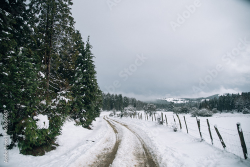 Paisaje de montaña en invierno, totalmente nevado con un camino en medio y una barandilla de alambre rodeado por altos pinos en el País Vasco un día nuboso de inverno © Safi
