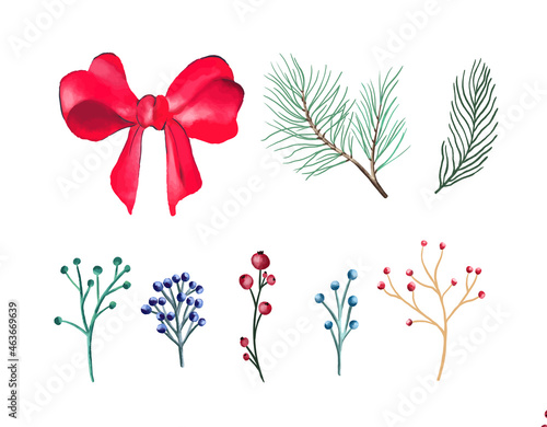 Christmas set of plants with flowers  spruce branches  leaves and berries.