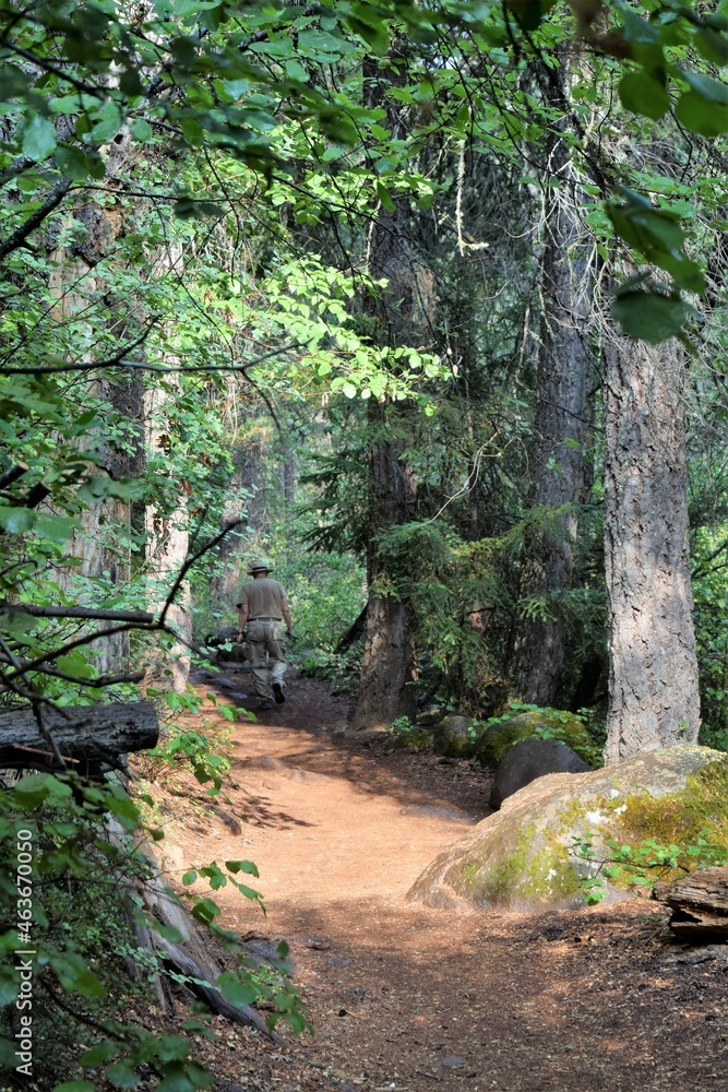 Fototapeta premium Trail to McCloud Falls