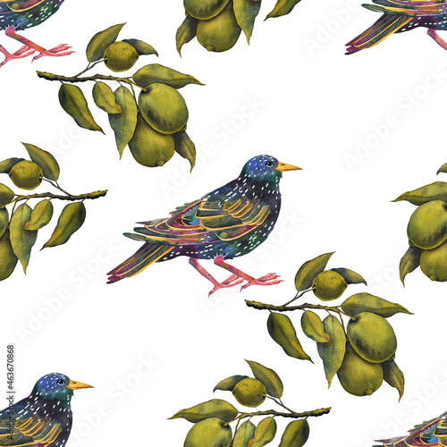 Starling and lime branches, seamless pattern. Watercolor illustration, birds and branches, for wallpapers, packaging