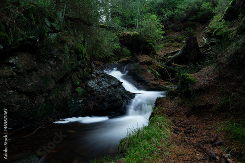 smooth motion of wild water in a river in summer with rocks and stones in the beautiful nature of a forest