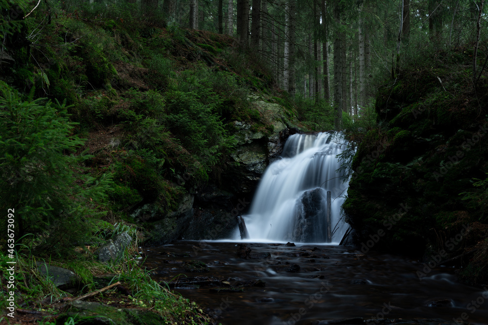 Fototapeta premium smooth motion of wild water in a river in summer with rocks and stones in the beautiful nature of a forest