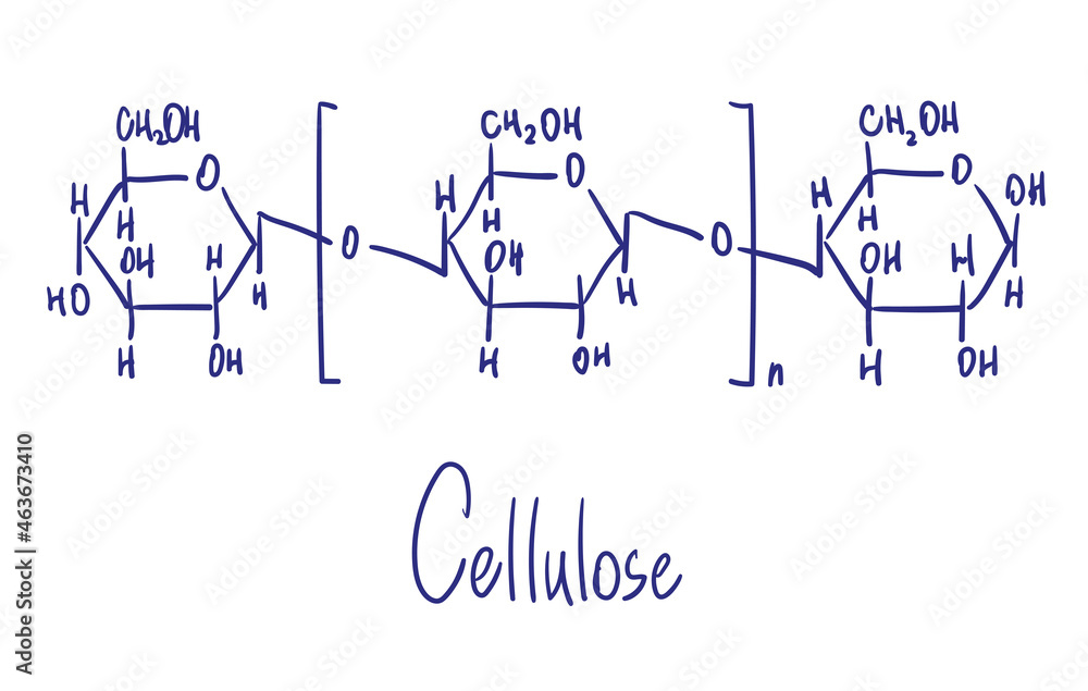 cellulose structure