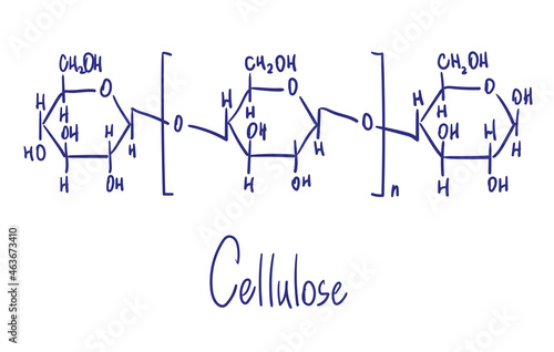 Cellulose  chemical structure. Vector illustration Hand drawn.