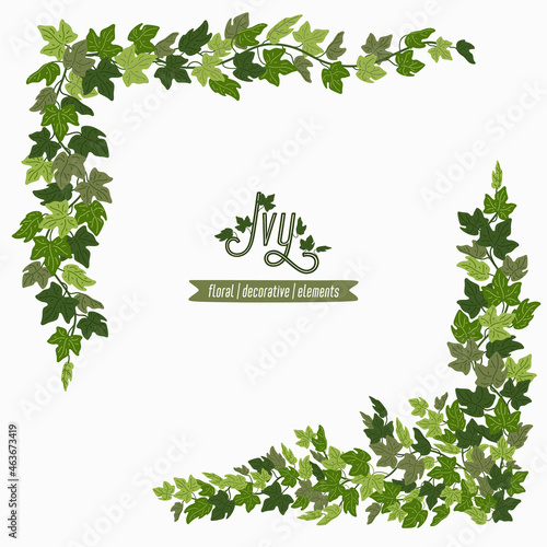 Ivy corners, green vines decorative frame or design elements isolated on whit...