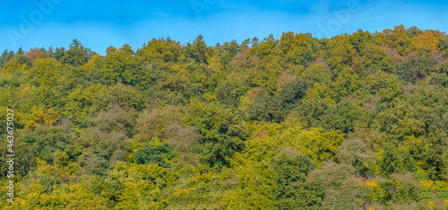 Fototapeta Naklejka Na Ścianę i Meble -  Autumn colors in different panorama shots in green and brown tones along the Danube near Bavaria