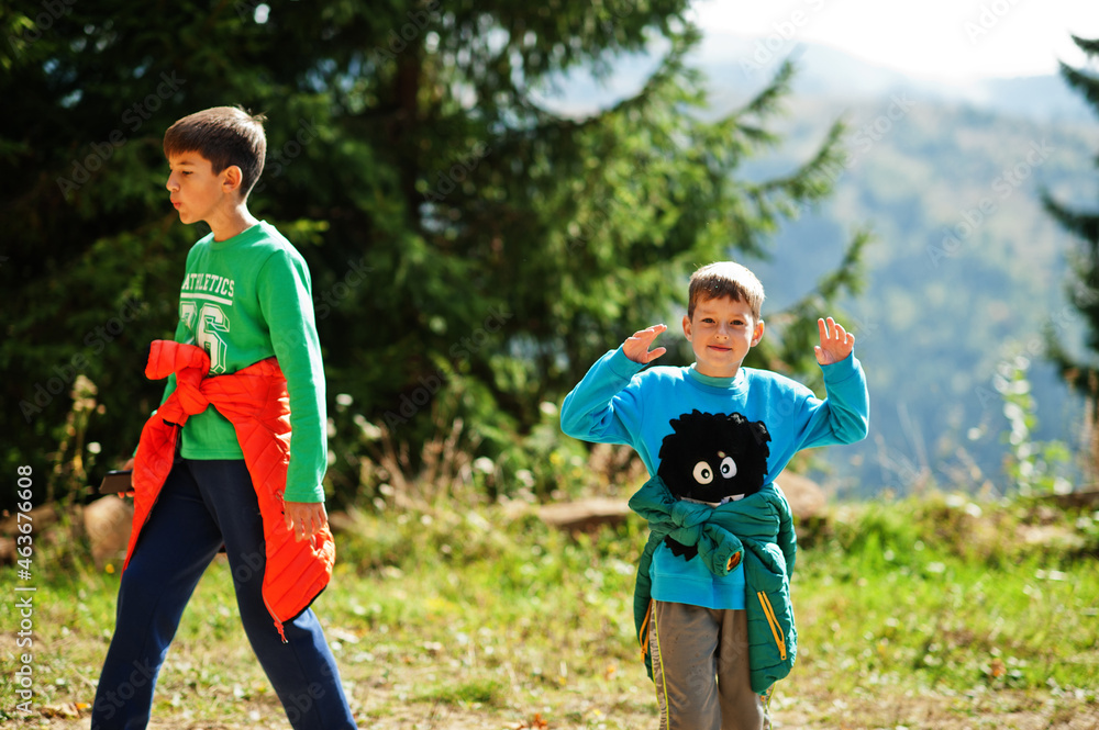 Fototapeta premium Brothers hike in the mountains, children are walking along a mountain trail, outdoor activities with children, sibling, boy with his brother traveling.