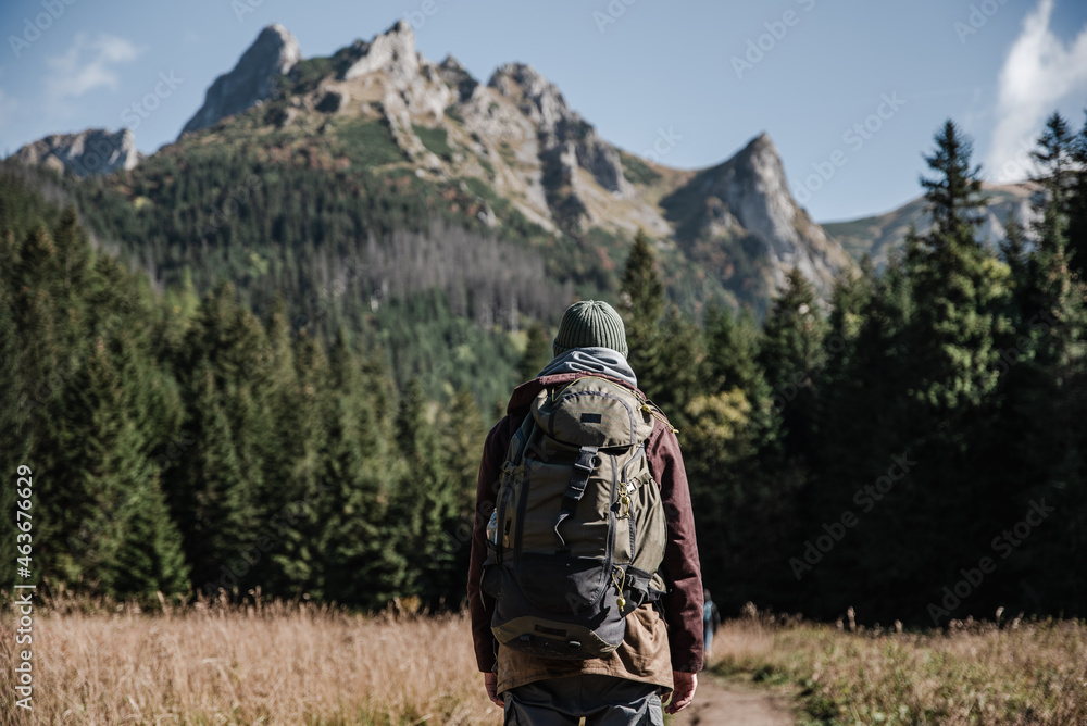 Back view of male hiker backpacker in highlands mountains. Man with heavy backpack relaxing standing on the rock looking around forward on pine trees. Back view of male hiker backpacker in highlands mountains. Man with heavy backpack relaxing standing on the rock looking around forward on pine trees.