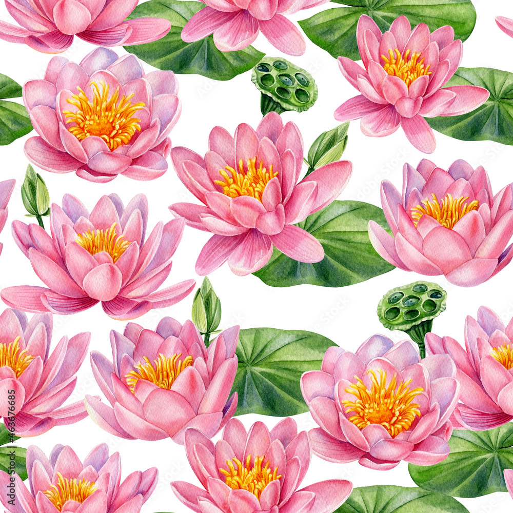 Pink lotus flowers, Botanical pattern. Hand drawn watercolor seamless pattern Pink lotus flowers, Botanical pattern. Hand drawn watercolor seamless pattern