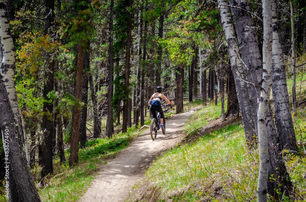A young woman mountain biking along a forest trail