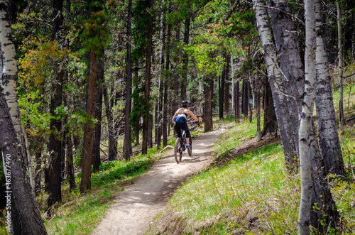 A young woman mountain biking along a forest trail