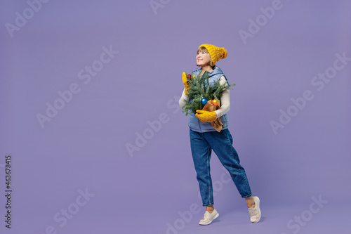 Full size body length mature elderly lady woman 55 years old wear blue waistcoat yellow hat mittens looking above hold spruce branches isolated on plain pastel light violet background studio portrait