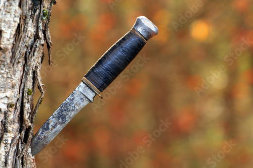 Hunting knife stuck into tree trunk in forested area