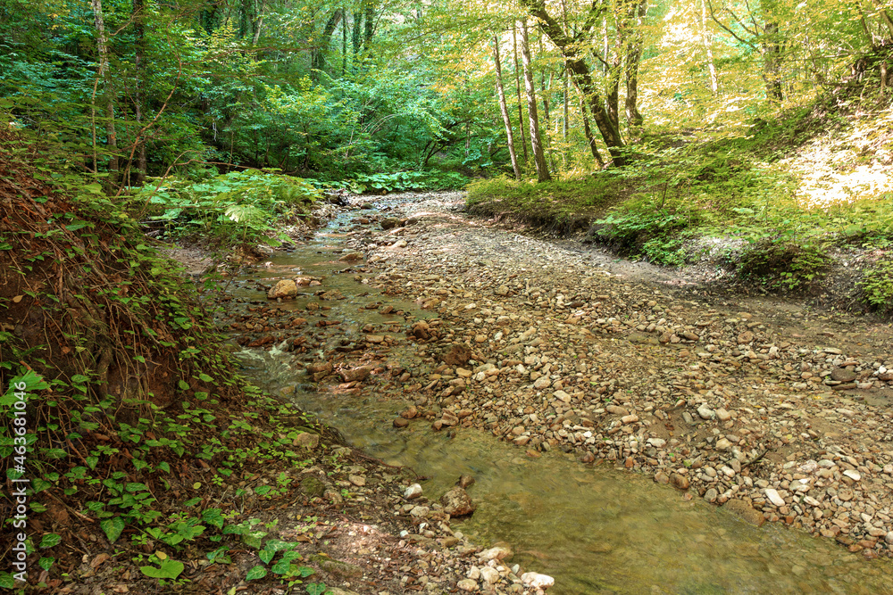 Mountain range, sources, hiking trail along the bank of a mountain river, natural stone, background, panoramic views of the mountainous terrain. Mountain range, sources, hiking trail along the bank of a mountain river, natural stone, background, panoramic views of the mountainous terrain.