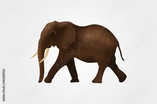 Elephant silhouette vector illustration isolated on white background