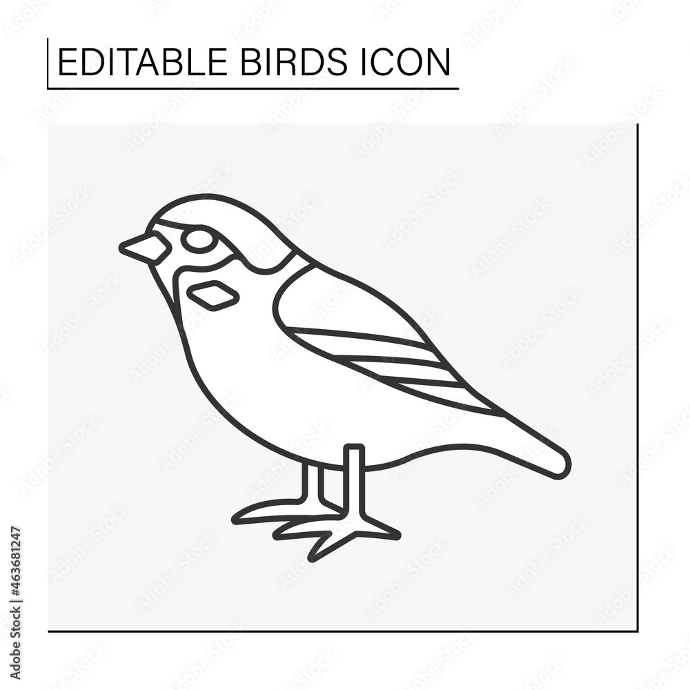 Sparrow line icon. Small chiefly brownish or grayish bird. Eco system. Birds concept. Isolated vector illustration. Editable stroke Sparrow line icon. Small chiefly brownish or grayish bird. Eco system. Birds concept. Isolated vector illustration. Editable stroke