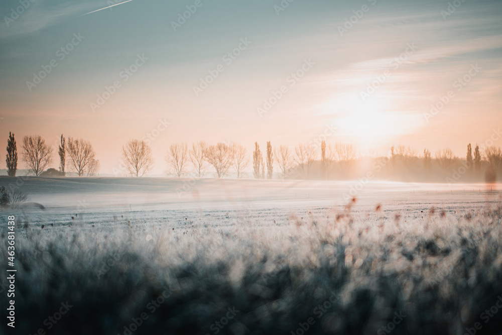 First sunlight on a early cold winter morning with frozen grass landscape and bright foggy glow. Misty winter morning with orange sunrise countryside landscape - obrazy, fototapety, plakaty 