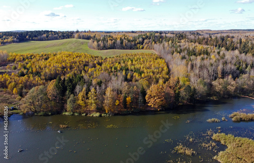 Top view of a forest lake on a sunny day