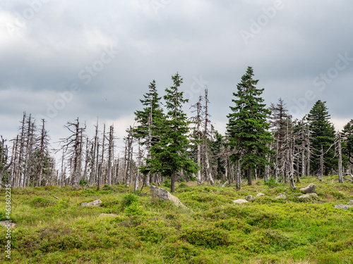 Landscape on mountain Brocken in Harz in Germany.