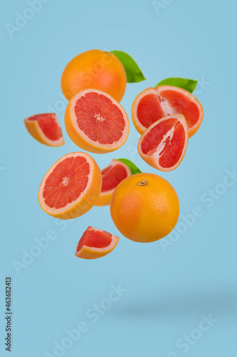 Creative idea with fresh sliced and whole grapefruit floating in the air isolated on blue background.