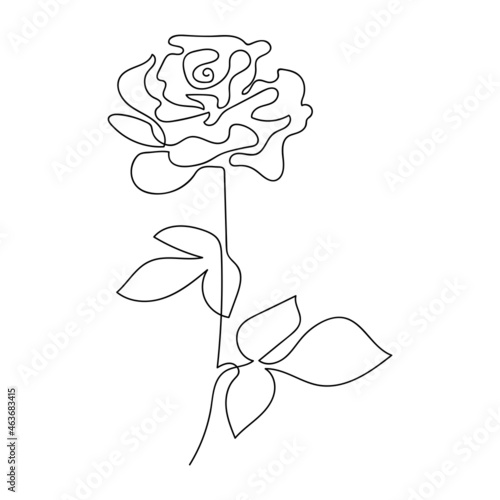 One line abstract rose. Vector flower drawn with a continuous line.