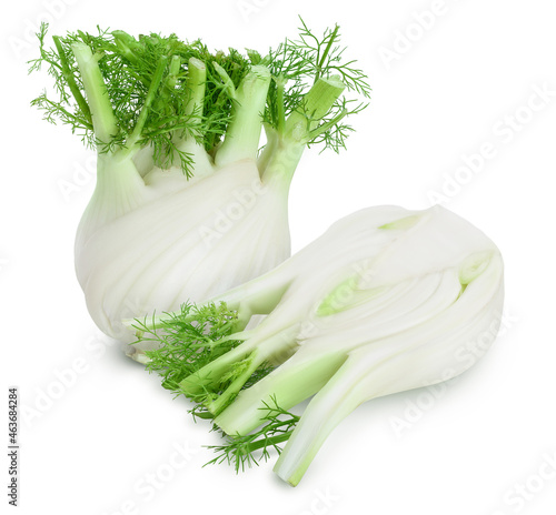 fresh fennel bulb with half isolated on white background with full depth of field
