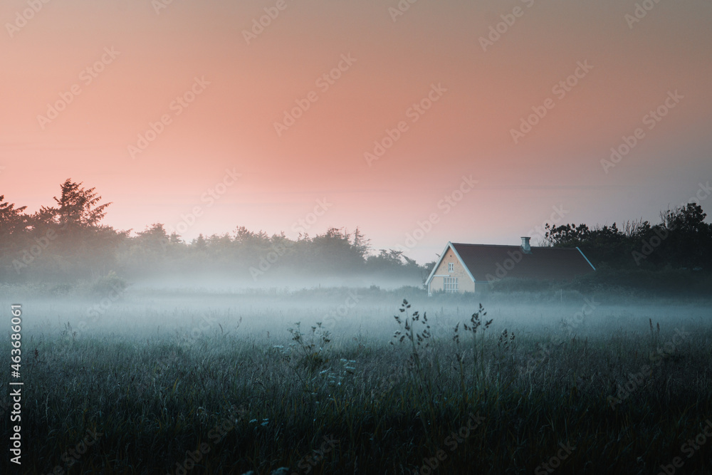 Misty and foggy evening nature landscape with small hills on a cold autumn evening. Colorful fog on a early sunrise morning on a cow meadow field in the danish countryside. Denmark, Lokken