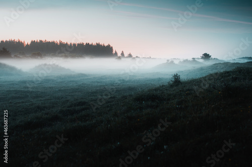 Misty and foggy evening nature landscape with small hills on a cold autumn evening. Colorful fog on a early sunrise morning on a cow meadow field in the danish countryside. Denmark, Lokken