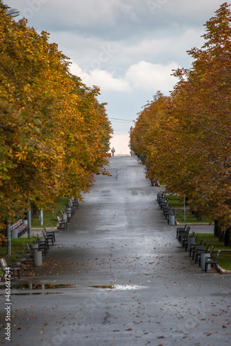 autumn in the park