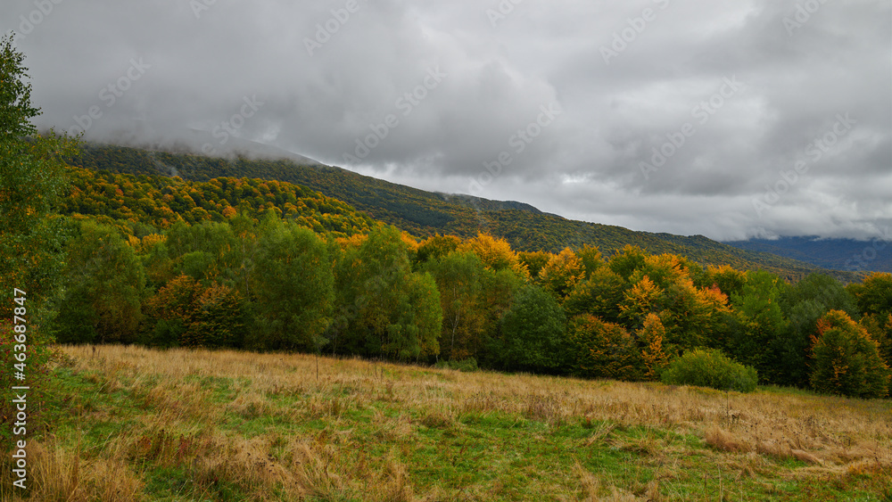 Malownicze Bieszczady jesienią. Kraina dzikich zwierząt: niedźwiedzia, wilka, rysia. Kolorowe plenery, cisza, barwy jesieni.