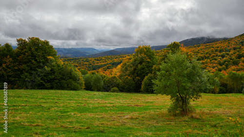 Fototapeta Naklejka Na Ścianę i Meble -  Malownicze Bieszczady jesienią. Kraina dzikich zwierząt: niedźwiedzia, wilka, rysia. Kolorowe plenery, cisza, barwy jesieni.