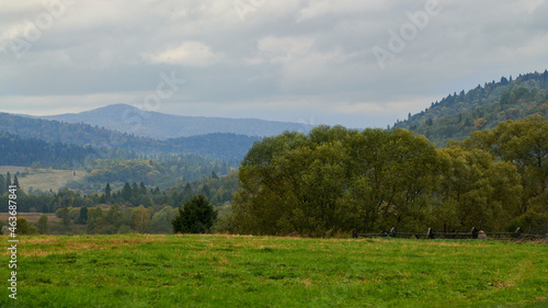 Fototapeta Naklejka Na Ścianę i Meble -  Malownicze Bieszczady jesienią. Kraina dzikich zwierząt: niedźwiedzia, wilka, rysia. Kolorowe plenery, cisza, barwy jesieni.