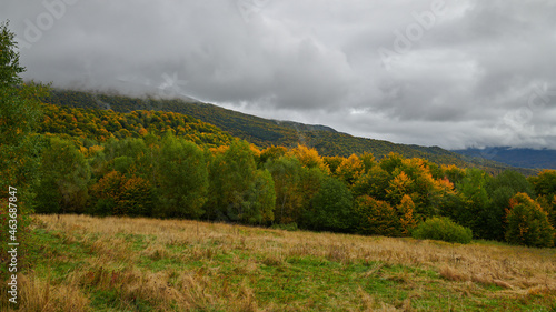 Malownicze Bieszczady jesienią. Kraina dzikich zwierząt: niedźwiedzia, wilka, rysia. Kolorowe plenery, cisza, barwy jesieni.