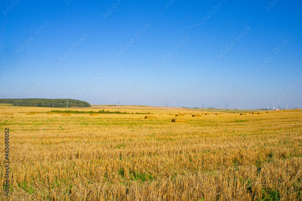 Beautiful yellow autumn agro field with harvested hay