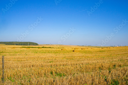 Beautiful yellow autumn agro field with harvested hay