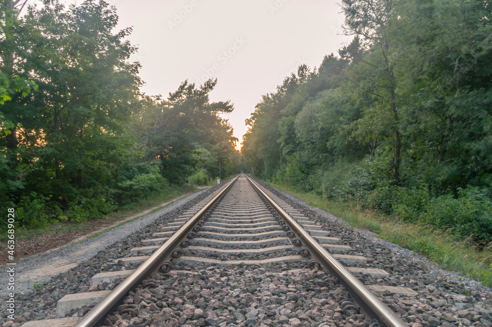 Fototapeta premium Railroad in the forest at sunset.