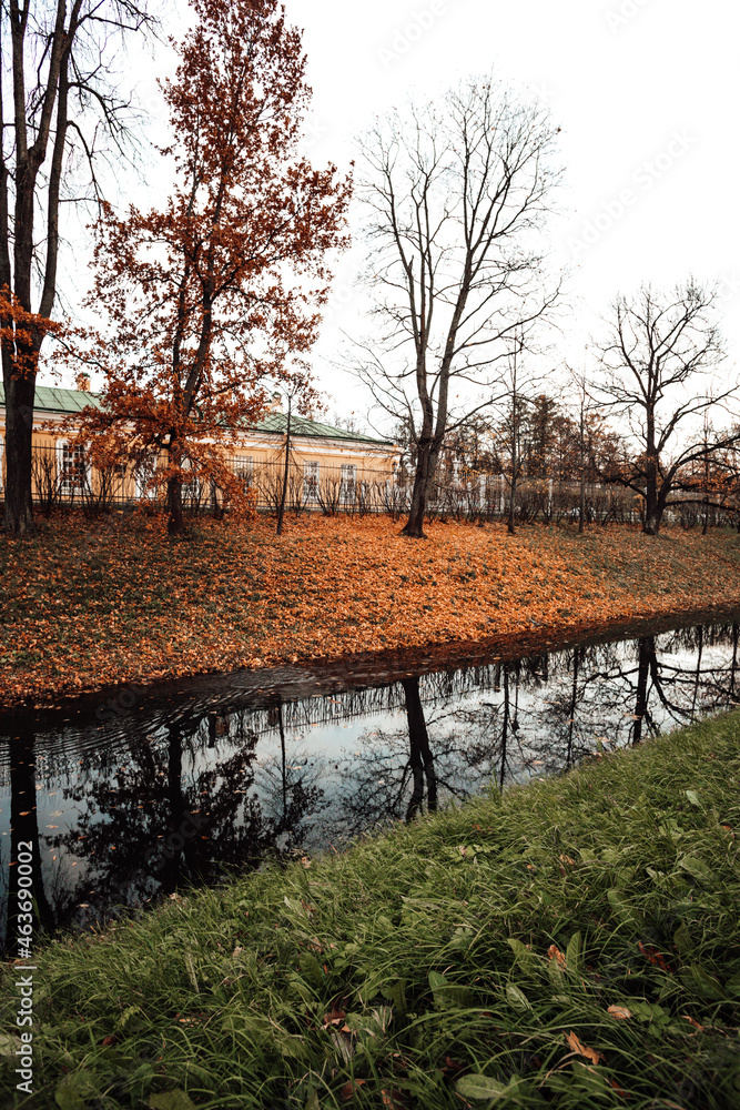 Naklejka premium autumn in the park
