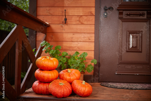 Stack of large orange pumpkins Near the door of the house. Autumn harvest and Halloween home decor. Copy space photo