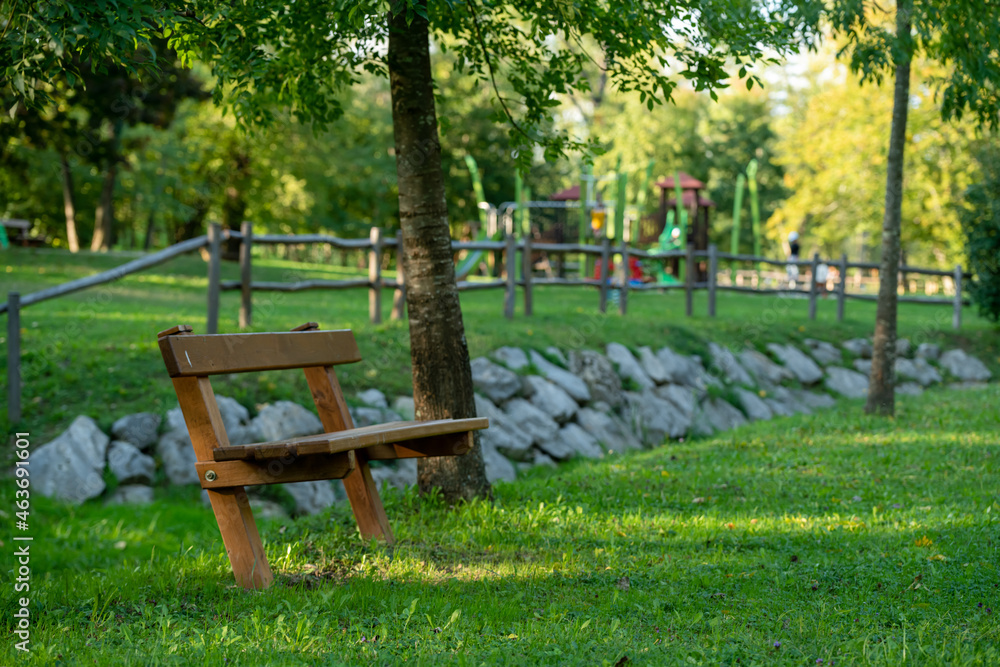 wooden bench in a green park in the evening