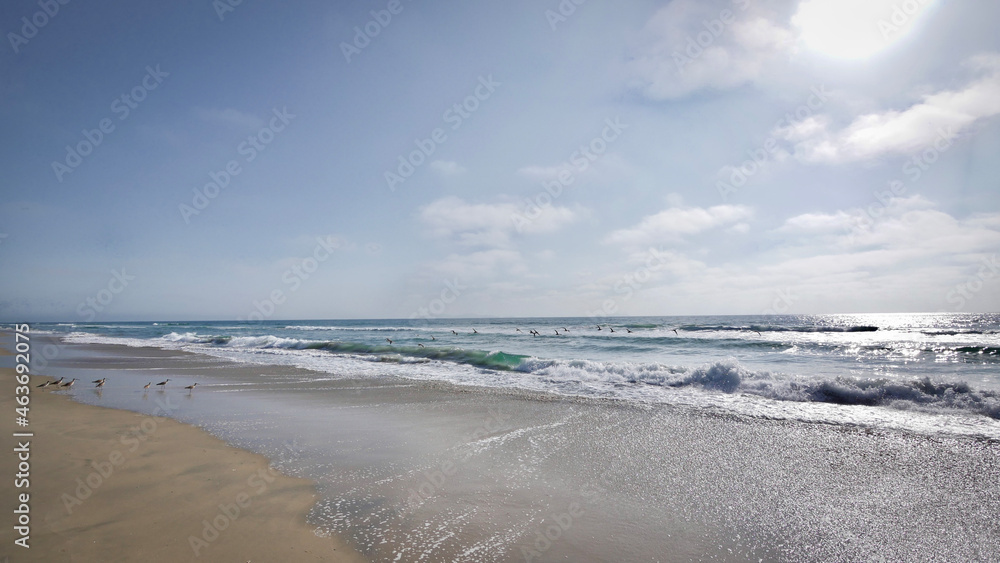 Beautiful scenic view of breaking waves and sandy beach on a sunny clear summer day on the Pacific Ocean coast of Baja California