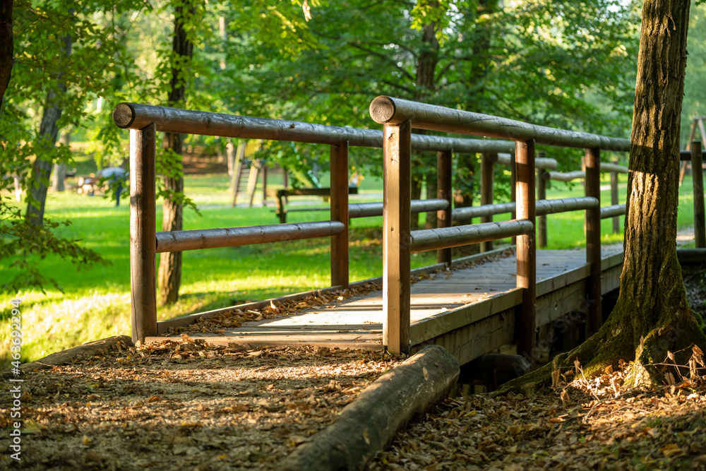 small wooden bridge over the river in the park in the evening