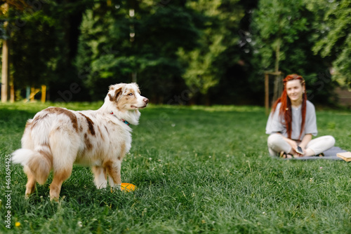 Dog spending time on nature with girl 
