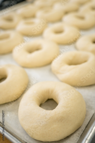 making bagels - raw dough formed into shape of bagels