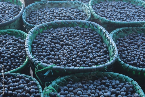 Basket full of açai from amazon photo