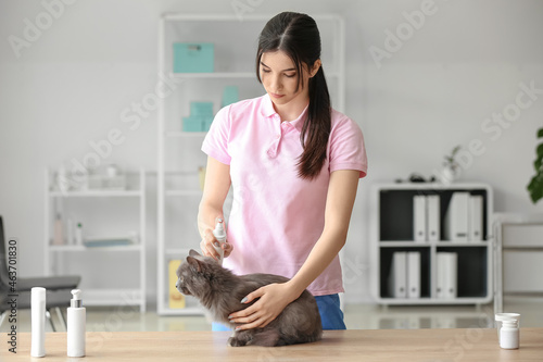 Female veterinarian sprayin...