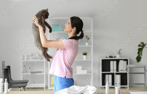 Veterinarian holding gray c...