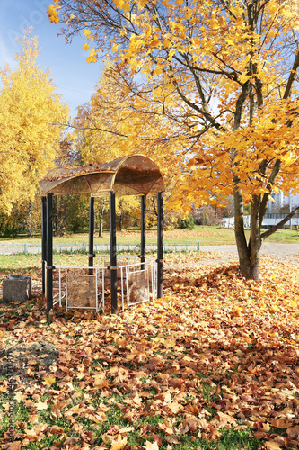 Autumn, a gazebo and a lot of maple leaves